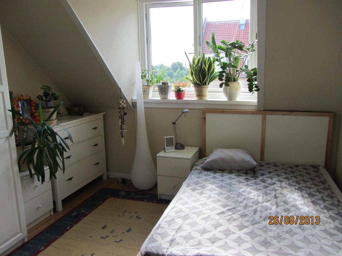 Cosy In Sydhavn Homestay